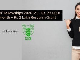 ICAR PDF Fellowships 2020-21