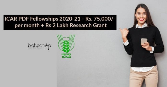 ICAR PDF Fellowships 2020-21