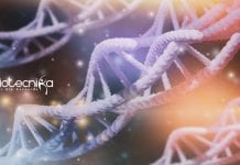 IISER Mohali Life Science Job – RNA Splicing Project IISER Mohali Life Science