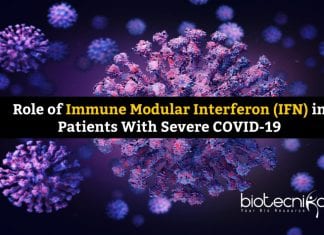 Interferon Role In Severe COVID-19 Patients