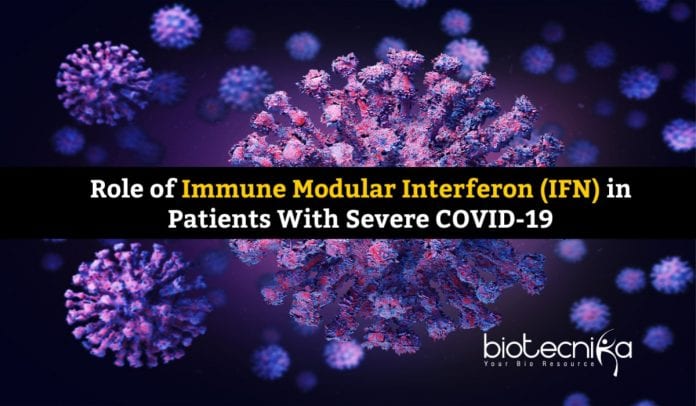 Interferon Role In Severe COVID-19 Patients