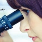 JNU STARS Sponsored Epigenetic Regulation Project Job For Life Sciences JNU Project Jobs