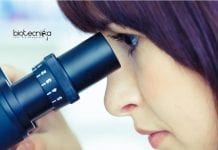 JNU STARS Sponsored Epigenetic Regulation Project Job For Life Sciences JNU Project Jobs