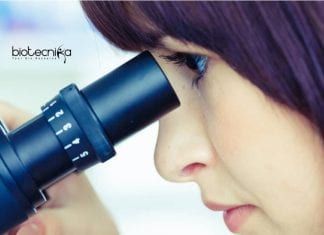 JNU STARS Sponsored Epigenetic Regulation Project Job For Life Sciences JNU Project Jobs