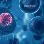 Jamia Millia Islamia Life Science & Bioinformatics JRF Job Jamia Millia Islamia Life