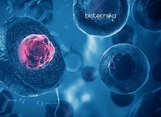 Jamia Millia Islamia Life