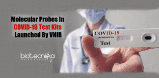 Molecular probes in COVID-19 test
