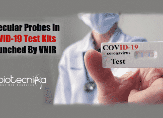 JNCASR Spinoff – VNIR Launches Molecular Probes Used In COVID-19 Test Kits Molecular probes in COVID-19 test