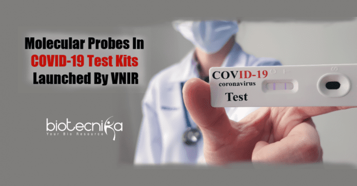 Molecular probes in COVID-19 test