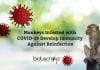 Monkeys infected with Coronavirus