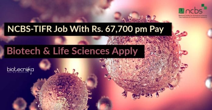 NCBS Job