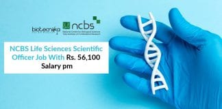 NCBS Jobs