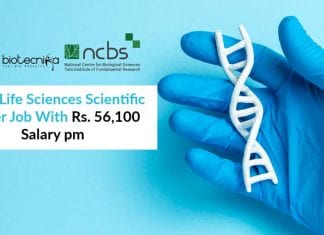 NCBS Life Sciences Scientific Officer Job With Rs. 56,100 Salary pm NCBS Jobs