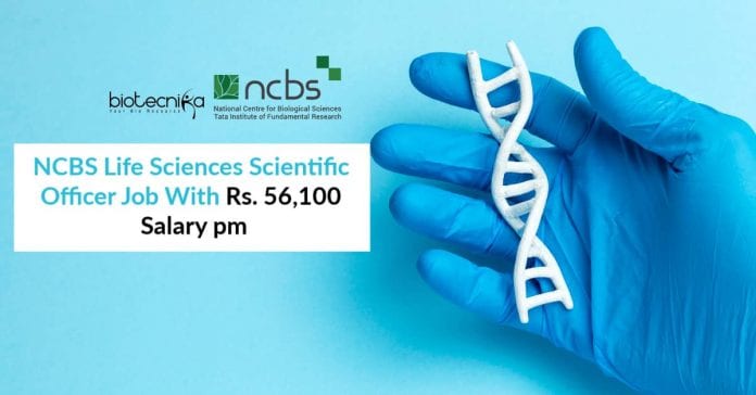 NCBS Jobs