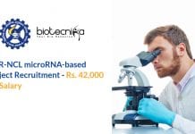 CSIR-NCL microRNA-based Project Recruitment – Rs. 42,000 pm Salary NCL PhD Job Opening