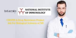 NII Biological Science Vacancy