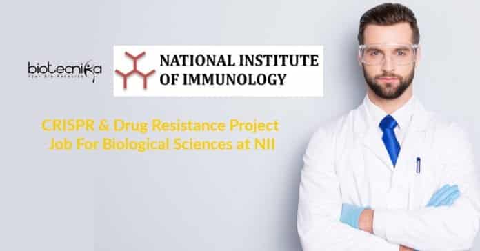NII Biological Science Vacancy