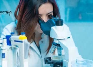 NII Mol Bio & Life Sciences Consultant Job With Rs. 96,000 pm Pay NII Mol Bio