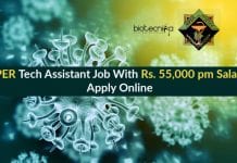 NIPER Tech Assistant Job
