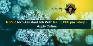 NIPER Tech Assistant Job