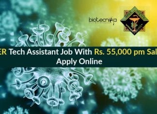 NIPER Tech Assistant Job