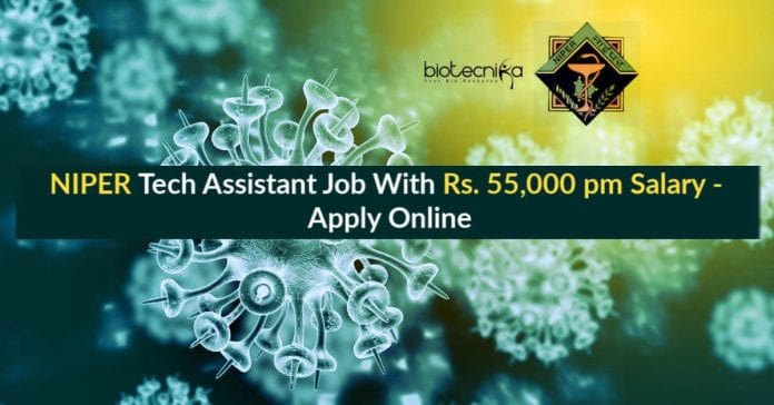 NIPER Tech Assistant Job