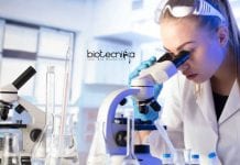 NIPGR Short Term Research Fellowship Scheme – Life Science & Biotech Apply NIPGR Biotech Research Job