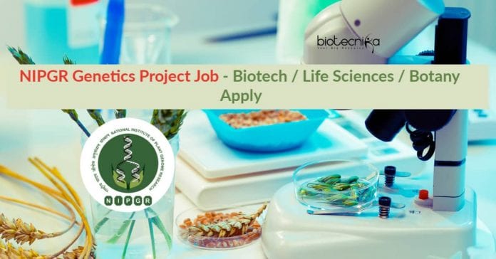 NIPGR Genetics Project Job