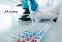 NIPGR PhD Life Science / Molecular Biology Research Associate Job NIPGR Research Associate Job