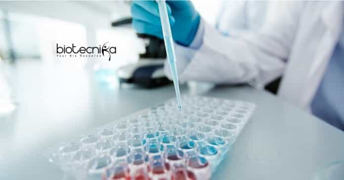 NIPGR Research Associate Job