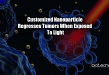 Nanoparticle Degenerates Tumors When Exposed To Light Nanoparticle regresses tumors