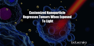 Nanoparticle regresses tumors