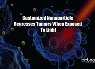 Nanoparticle Degenerates Tumors When Exposed To Light Nanoparticle regresses tumors