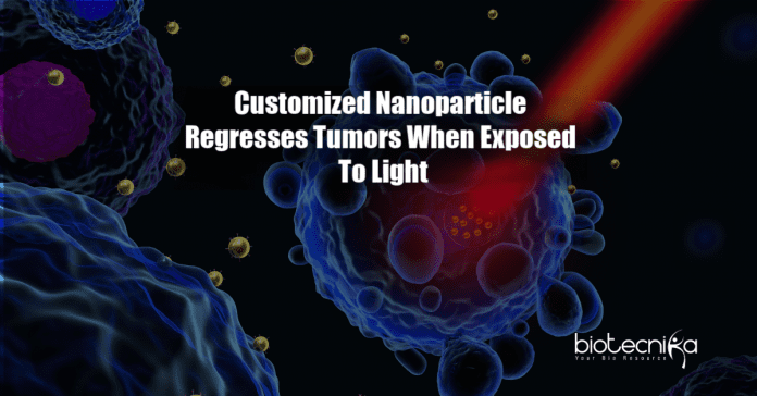 Nanoparticle regresses tumors