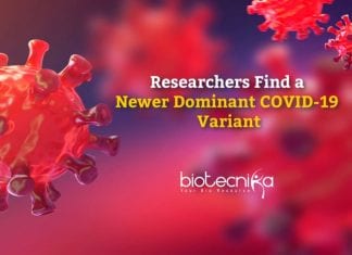 Newer Dominant COVID-19 Variant