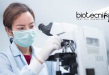 Novartis Biochem/ Biotech/ Biology Regulatory Affairs Job Opening Novartis Biology Regulatory Affairs