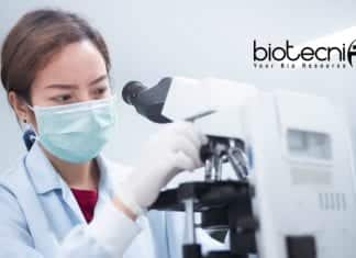 Novartis Biology Regulatory Affairs