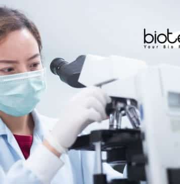 Novartis Biochem/ Biotech/ Biology Regulatory Affairs Job Opening Novartis Biology Regulatory Affairs