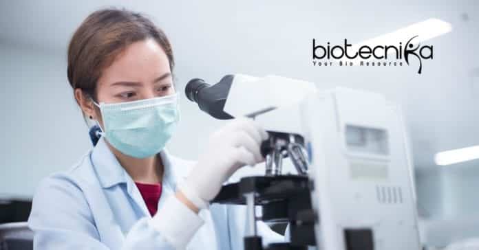 Novartis Biology Regulatory Affairs