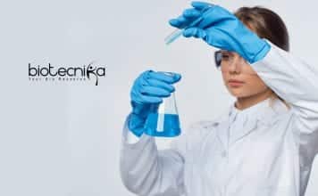 Novartis Biotech Regulatory Affairs