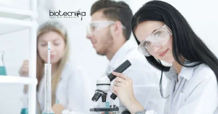 Novartis Senior CDM Job