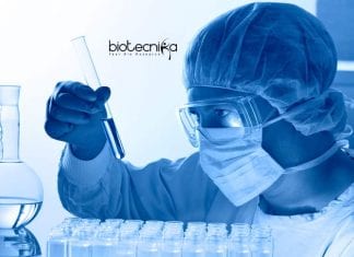 Novo Nordisk CDM Jobs