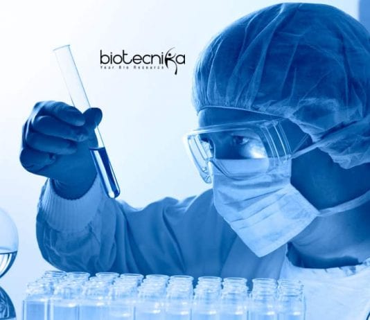 Novo Nordisk CDM Jobs