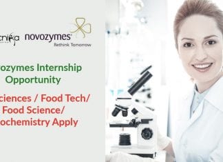 Novozymes Latest Jobs