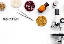 Novozymes Life Sciences Research Associate – MSc & MTech Apply Online Novozymes Life Sciences Associate