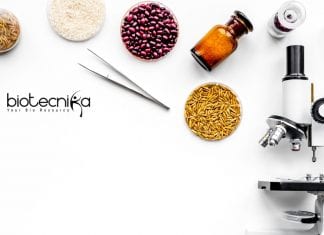 Novozymes Life Sciences Associate