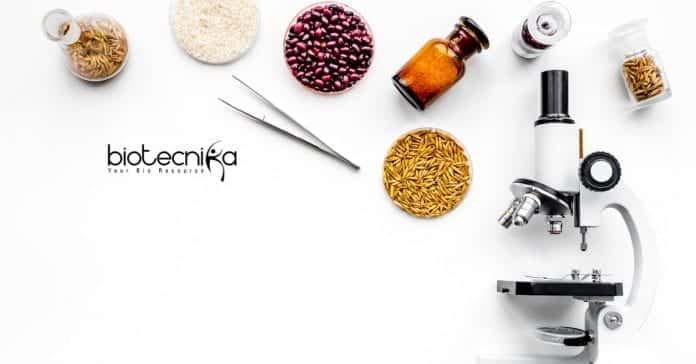 Novozymes Life Sciences Associate