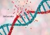 OUAT Microbiology Senior Research Fellow Vacancy Available OUAT Microbiology Senior Research