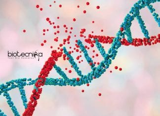 OUAT Microbiology Senior Research
