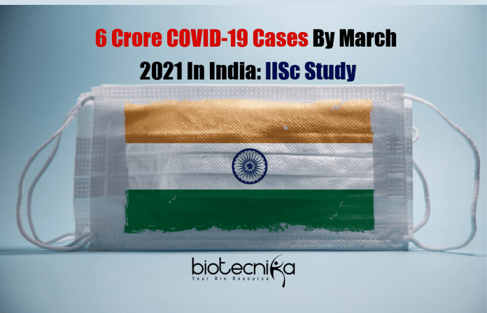 Over 6 crore COVID-19
